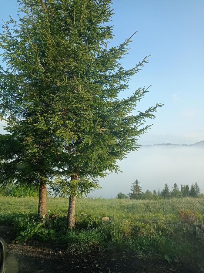 Ecottage Котедж Для Двох У Горах Із Чаном-Джакузі Slavske Luaran gambar