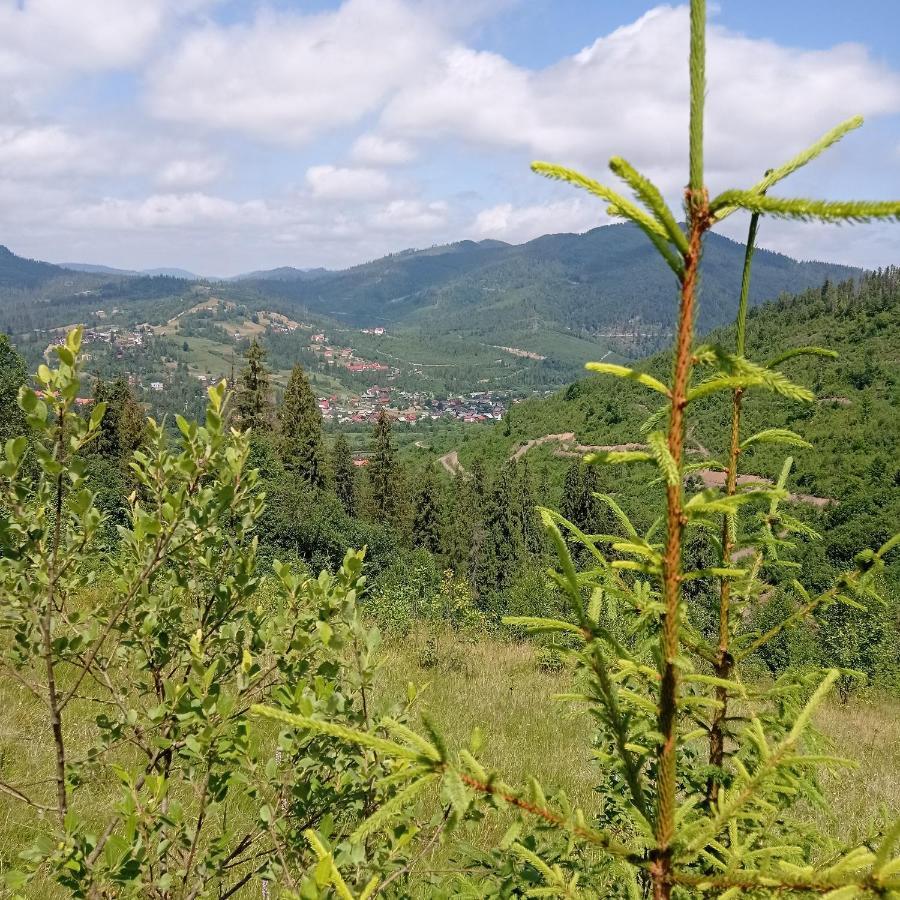 Ecottage Котедж Для Двох У Горах Із Чаном-Джакузі Slavske Luaran gambar